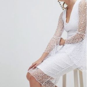 Vesper allover lace pencil fluted sleeve dress